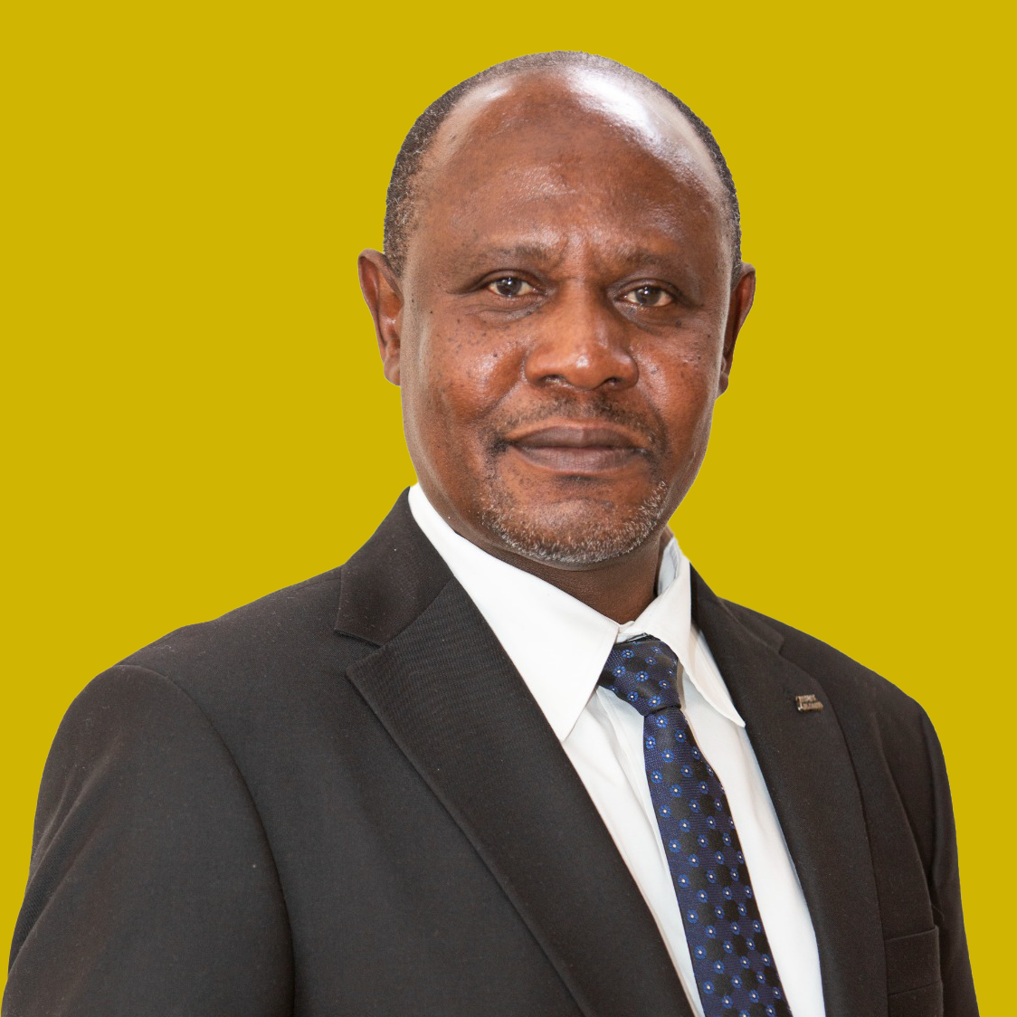Naibu Katibu Mkuu